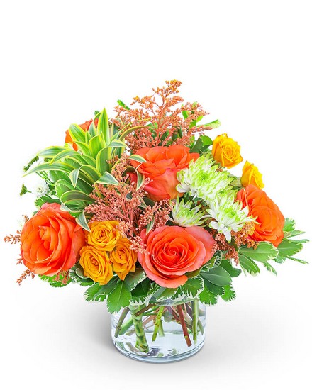 Key West Sunshine from Richardson's Flowers in Medford, NJ Key West Sunshine from Richardson's Flowers in Medford, NJ