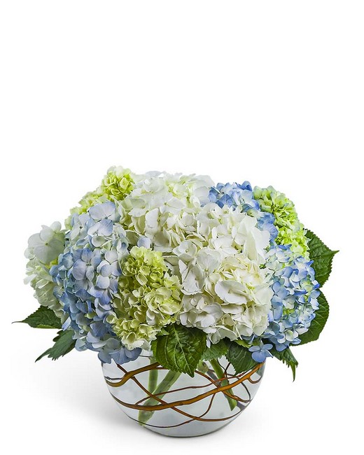 Modern Hydrangea from Richardson's Flowers in Medford, NJ Modern Hydrangea from Richardson's Flowers in Medford, NJ