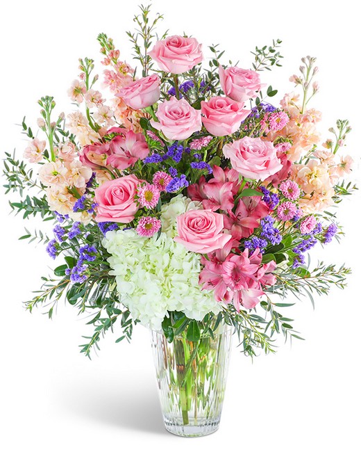 Queen of the Clouds from Richardson's Flowers in Medford, NJ Queen of the Clouds from Richardson's Flowers in Medford, NJ