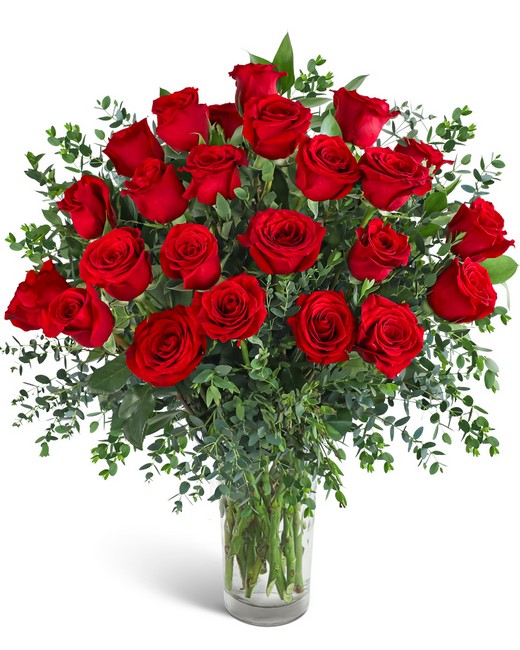 Two Dozen Red Hot Roses from Richardson's Flowers in Medford, NJ Two Dozen Red Hot Roses from Richardson's Flowers in Medford, NJ